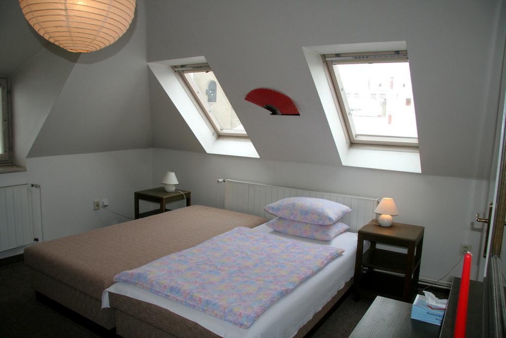 Penzion Orchidea Opočno Δωμάτιο φωτογραφία